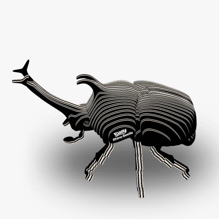 3D Kit Cardboard - Rhinoceros Beetle