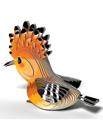 3D Kit Cardboard - Hoopoe