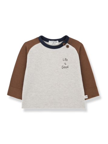 1+ in the family Paul Ranglan T-shirt - Castagna