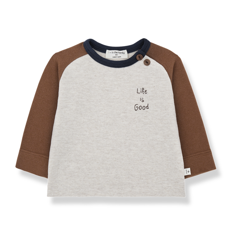 1+ in the family Paul Ranglan T-shirt - Castagna