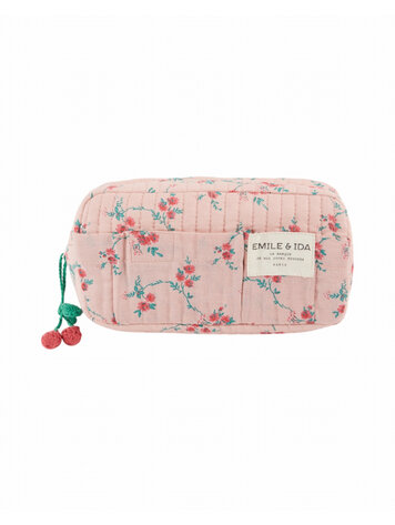 Emile et ida Trousse - Aster