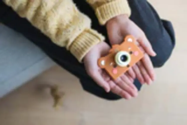 The Zoo Family Zoo Friends - Bear