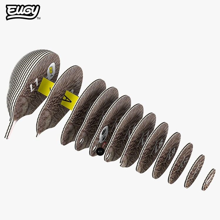 3D Kit Karton - Kiwi