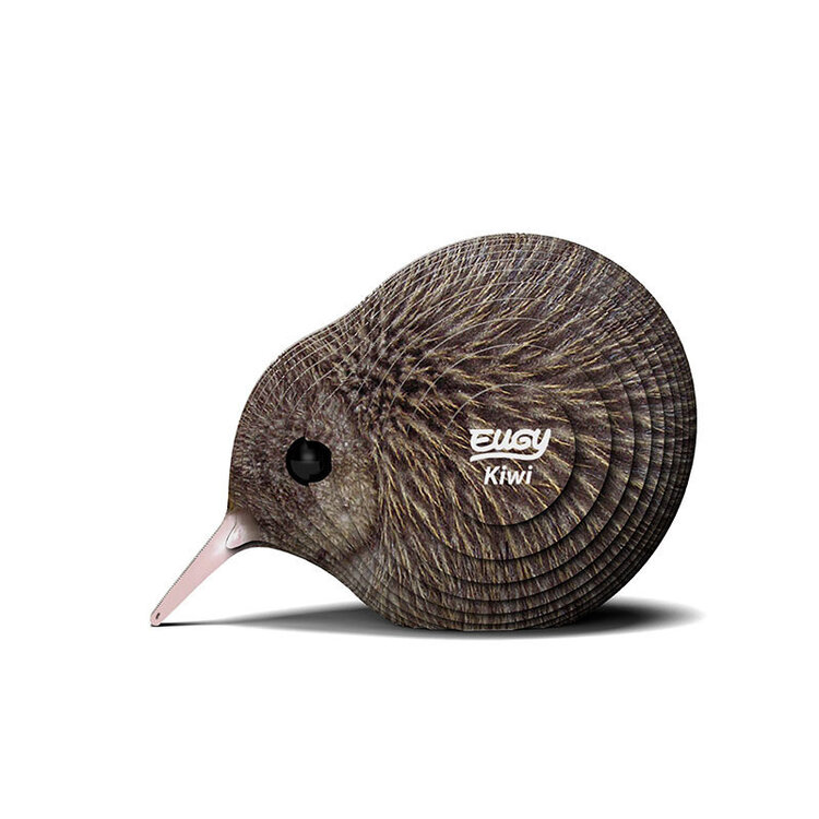 3D Kit Cardboard - Kiwi