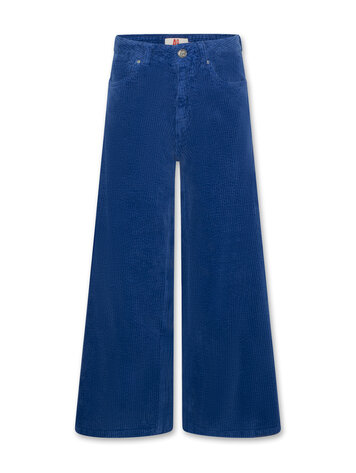 American Outfitters Zina Ardo Pants - Bright Blue