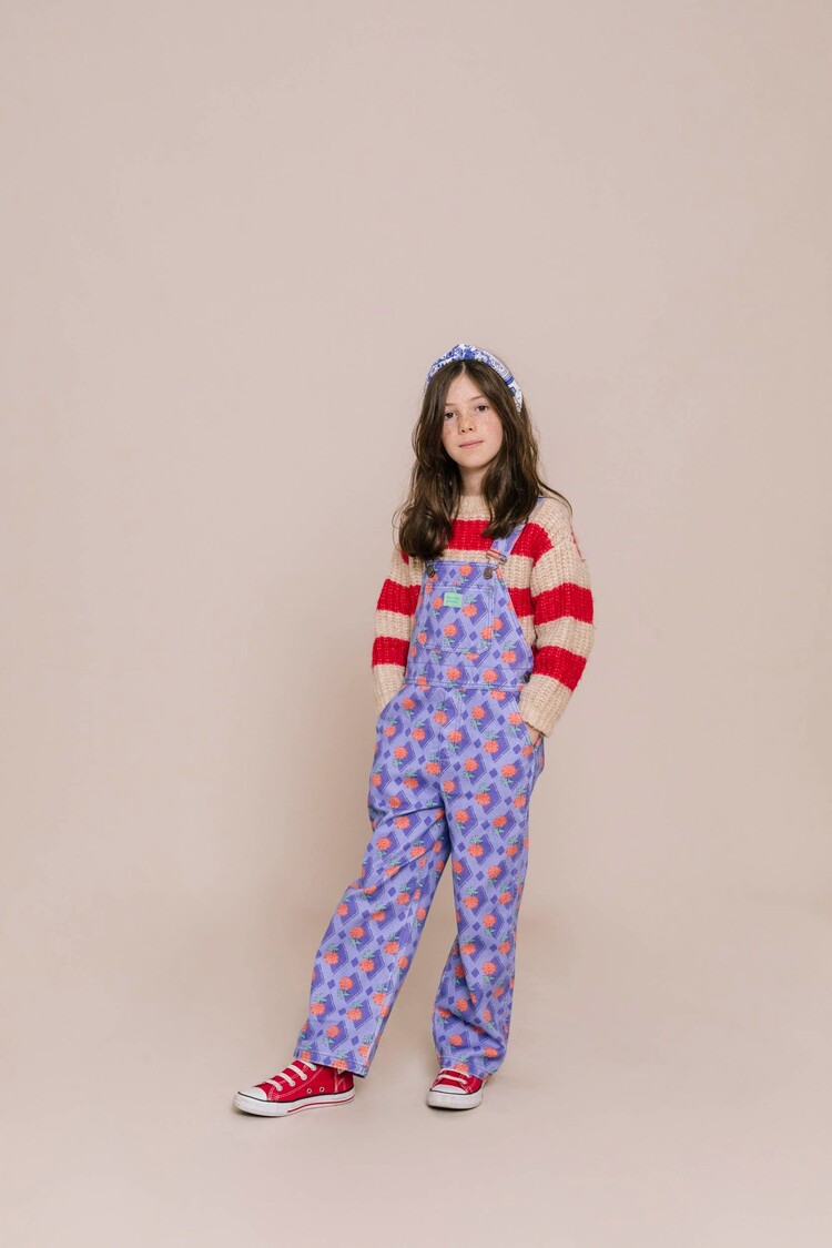 Favorite People Liberdade Overall - Blue