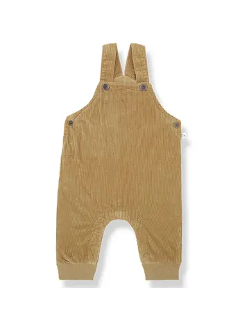 1+ in the family Adolf Overall - Ochre