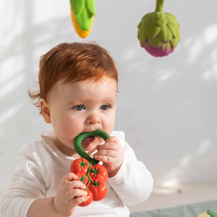 Oli & Carol Tomato Rattle Toy