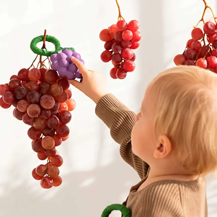 Oli & Carol Grape Rattle Toy