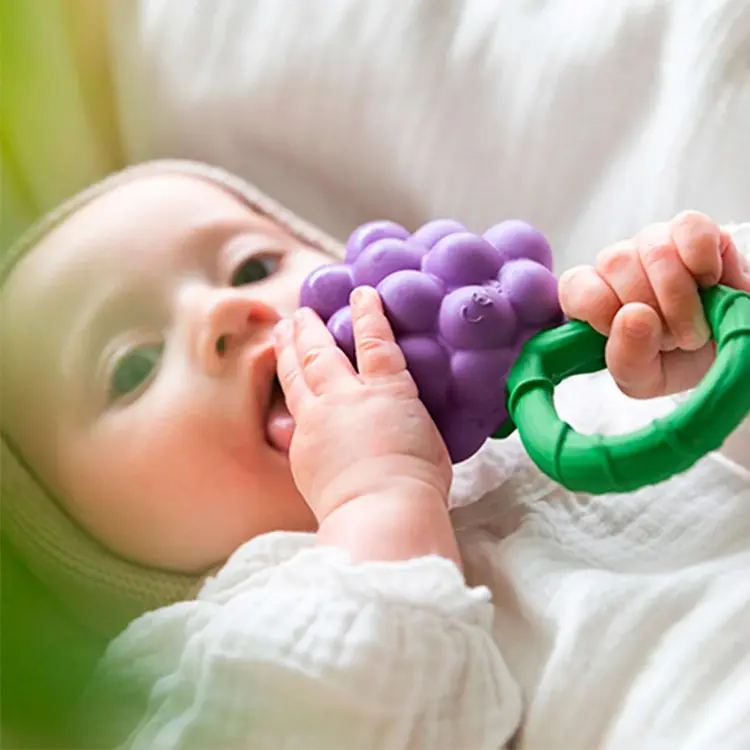 Oli & Carol Grape Rattle Toy