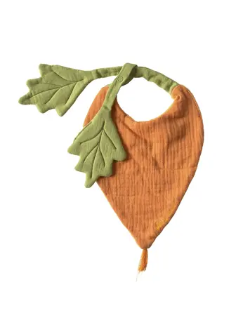Oli & Carol Cathy The Carrot Bib
