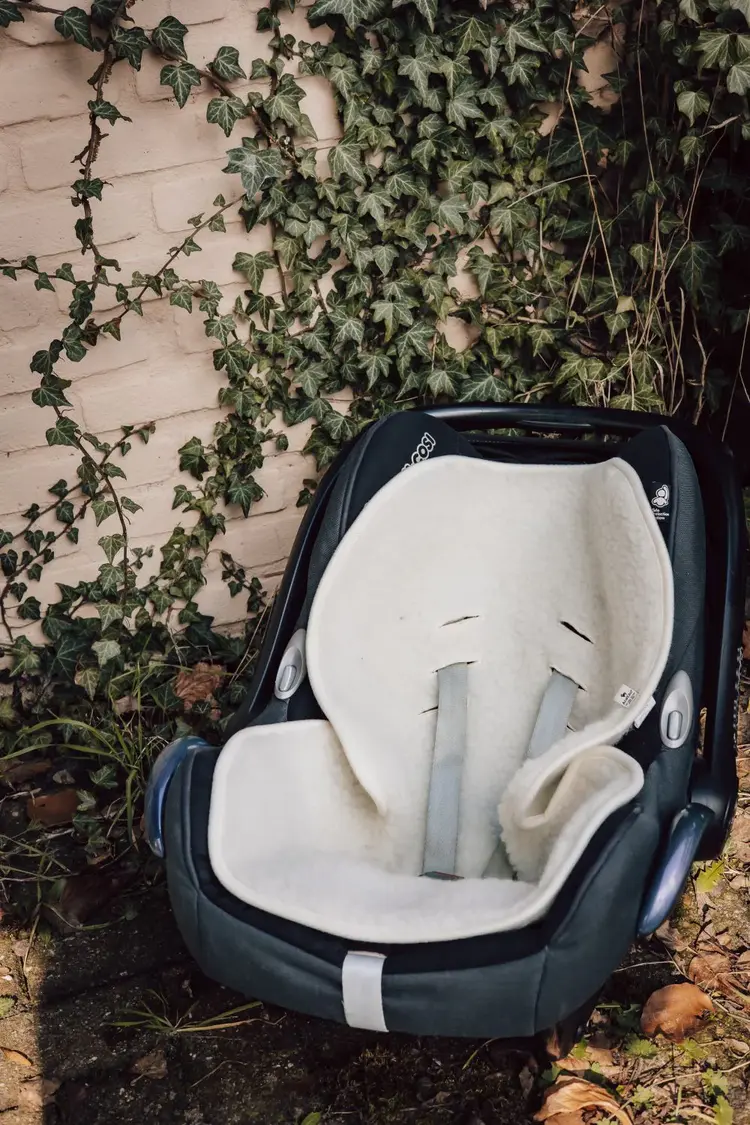 Alwero Insert Maxicosi