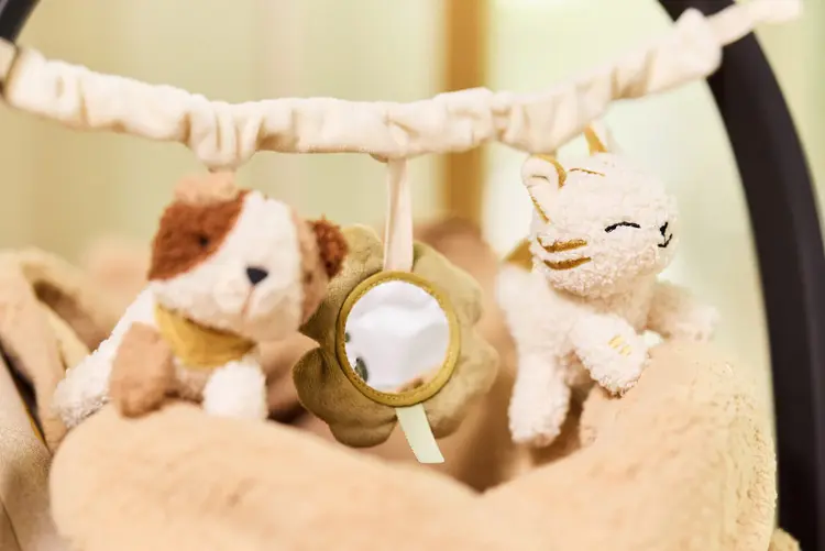 Jollein Wagenspanner - Tiny Park