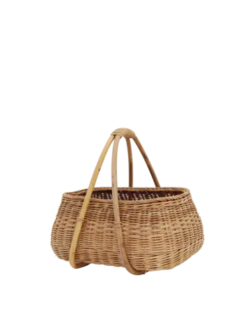Olli Ella Mosey Mandje - Rotan