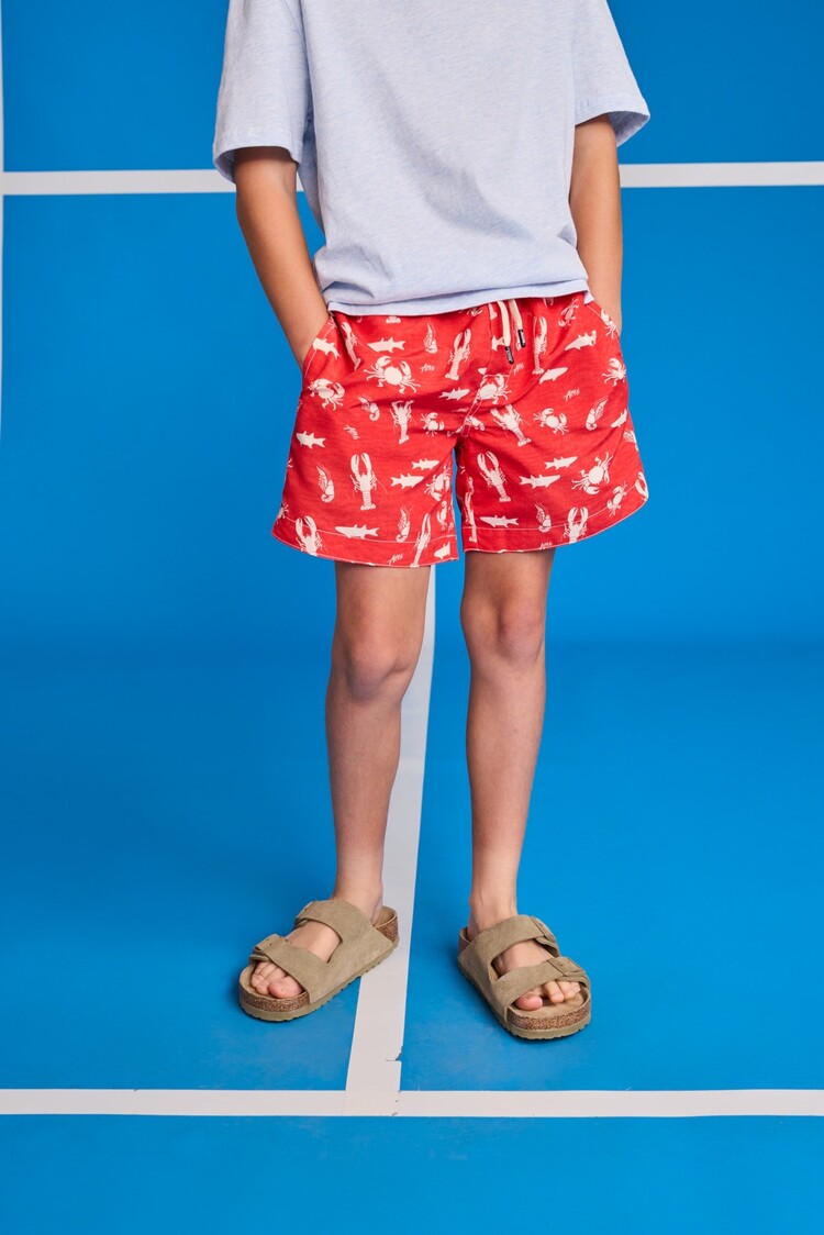 American Outfitters Toni Swimshorts Sea Life - Chili Red