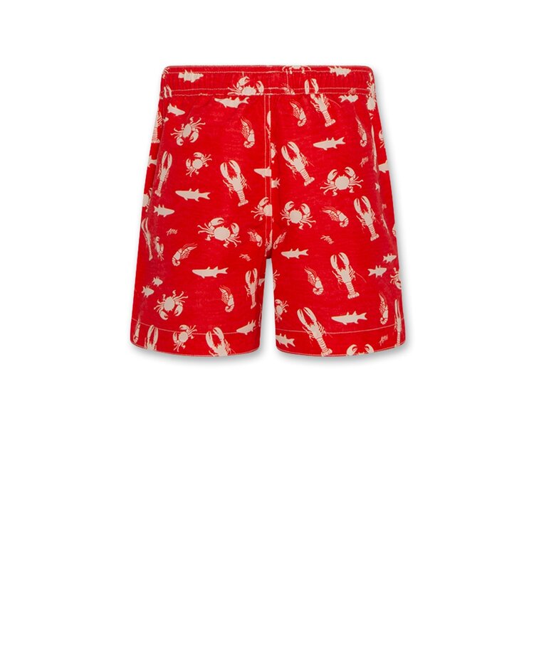 American Outfitters Toni Swimshorts Sea Life - Chili Red