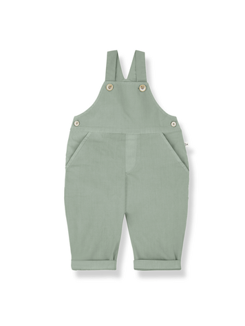 1+ in the family Pals Dungaree - Iceberg