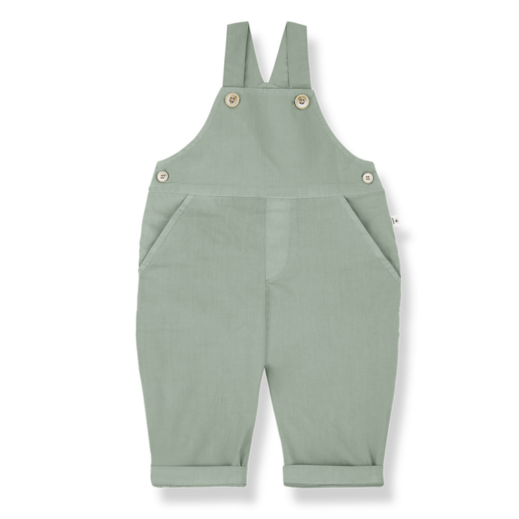 1+ in the family Pals Dungaree - Iceberg