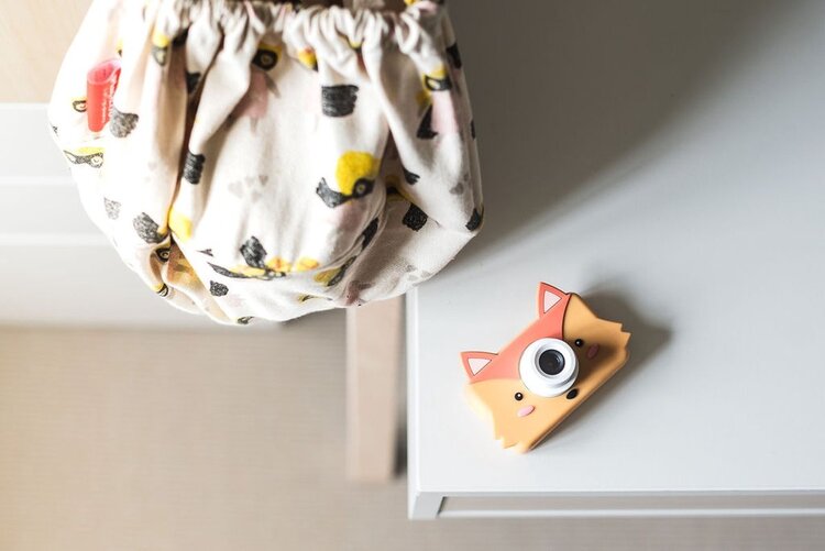 The Zoo Family Zoo Friends - Fox