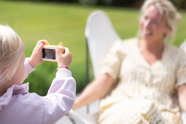 The Zoo Family Zoo Friends - Fox