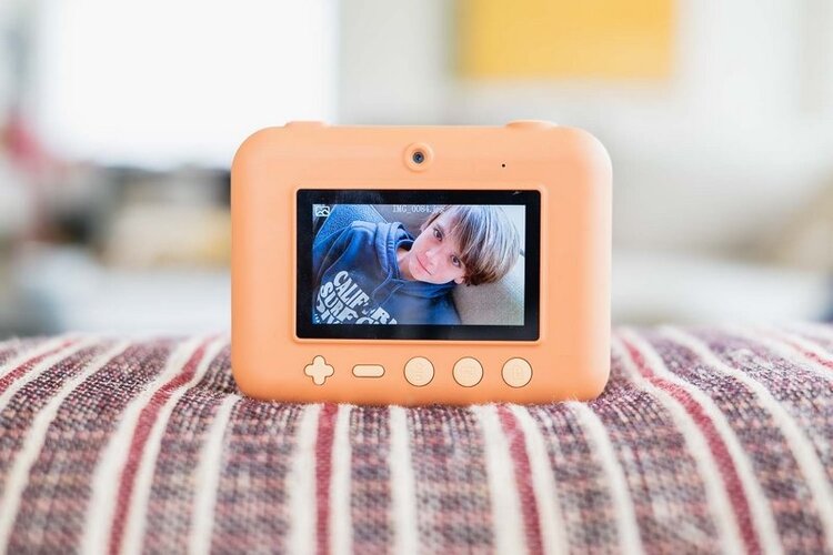 The Zoo Family Zoo Print - Fox