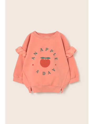 COZMO Liana Ruffle Sweatshirt - Rose