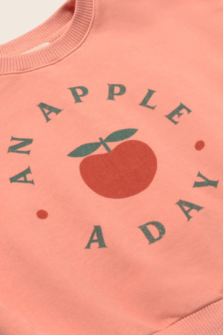 COZMO Liana Ruffle Sweatshirt - Rose