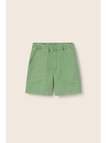 COZMO Palm Bermuda - Green