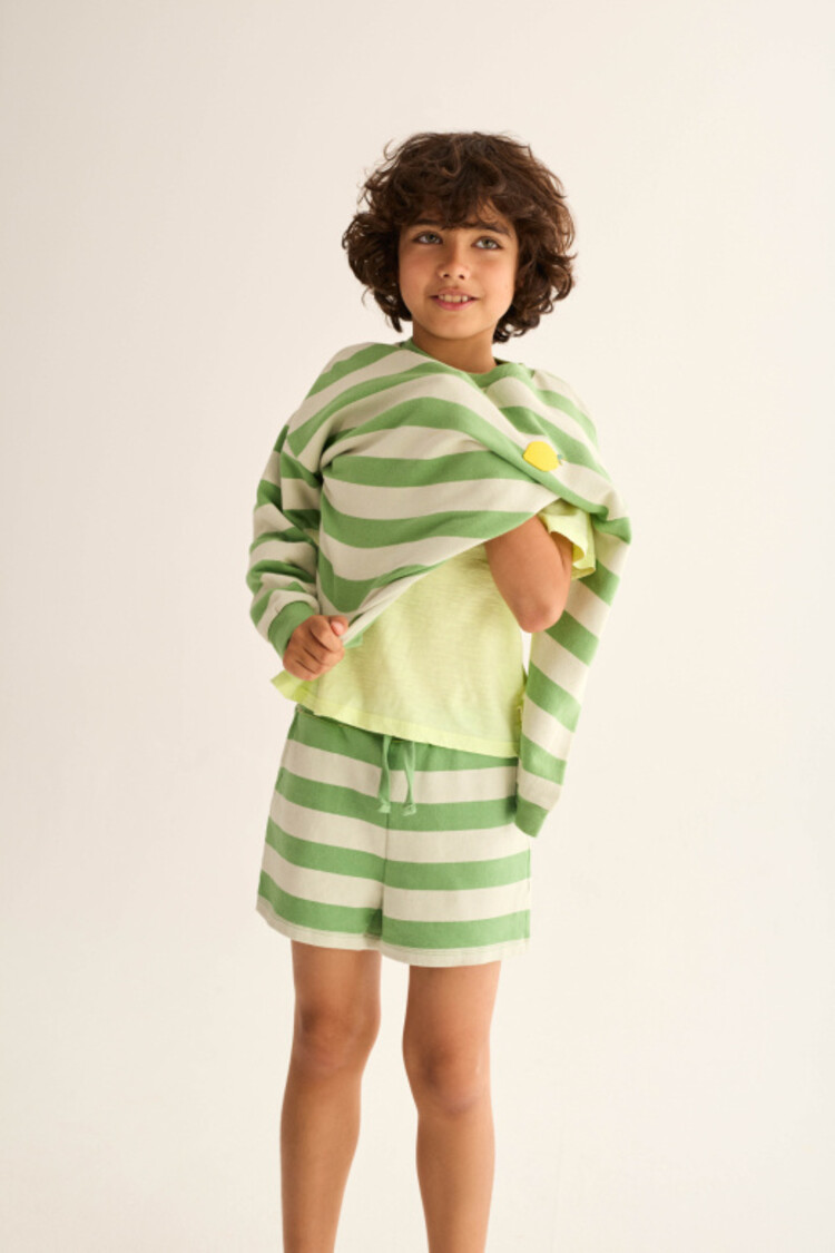 COZMO Orion Striped Shorts - Green
