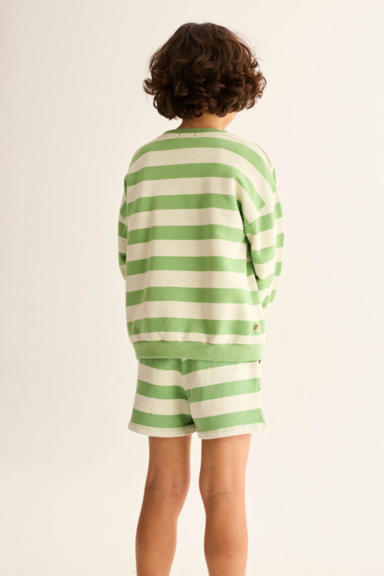 COZMO Orion Striped Shorts - Green