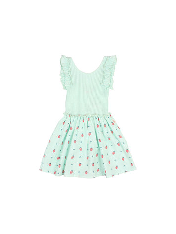 Buho Strawberry Combi Dress - Aqua