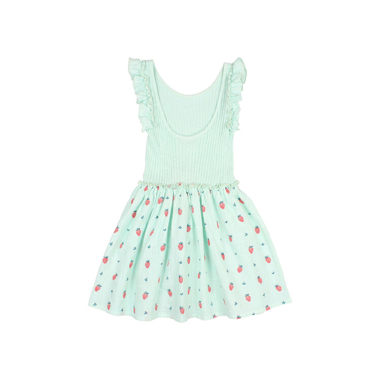 Buho Strawberry Combi Dress - Aqua
