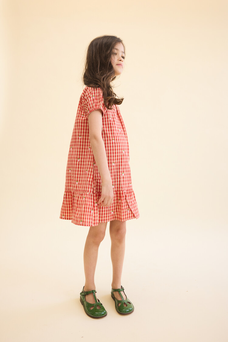 Flöss Molly Pineberry Dress - Red/Pink Berry