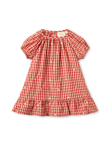 Flöss Molly Pineberry Dress - Red/Pink Berry