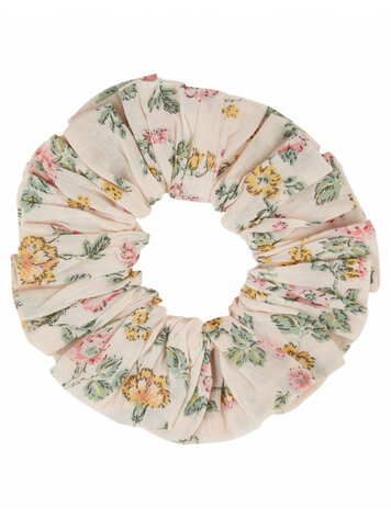 Emile et ida Chouchou - Rosier