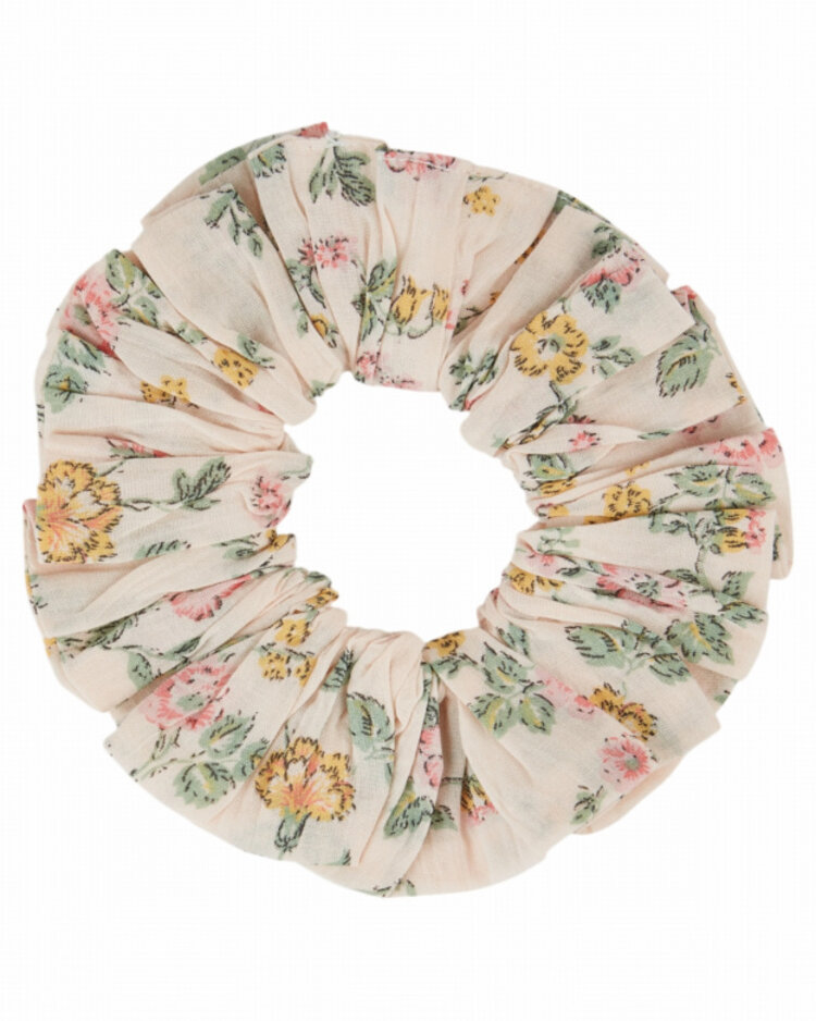 Emile et ida Chouchou - Rosier