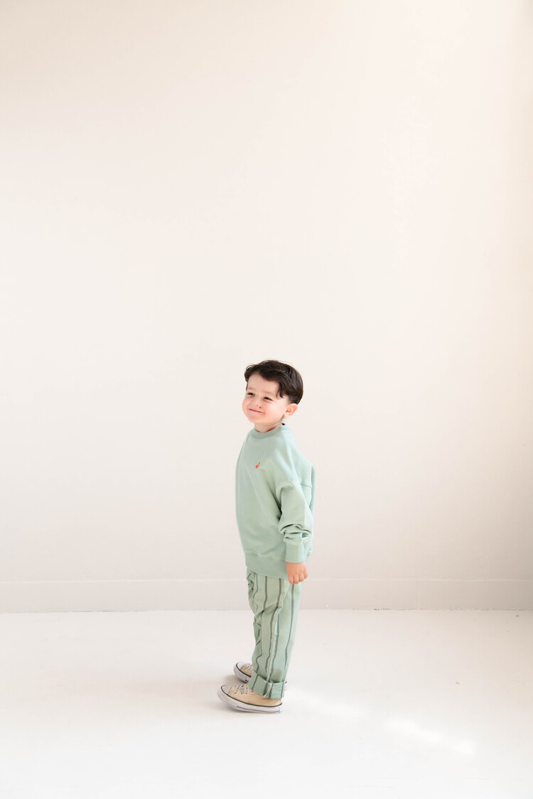 Jenest Kick Pants - Sage Green Stripe