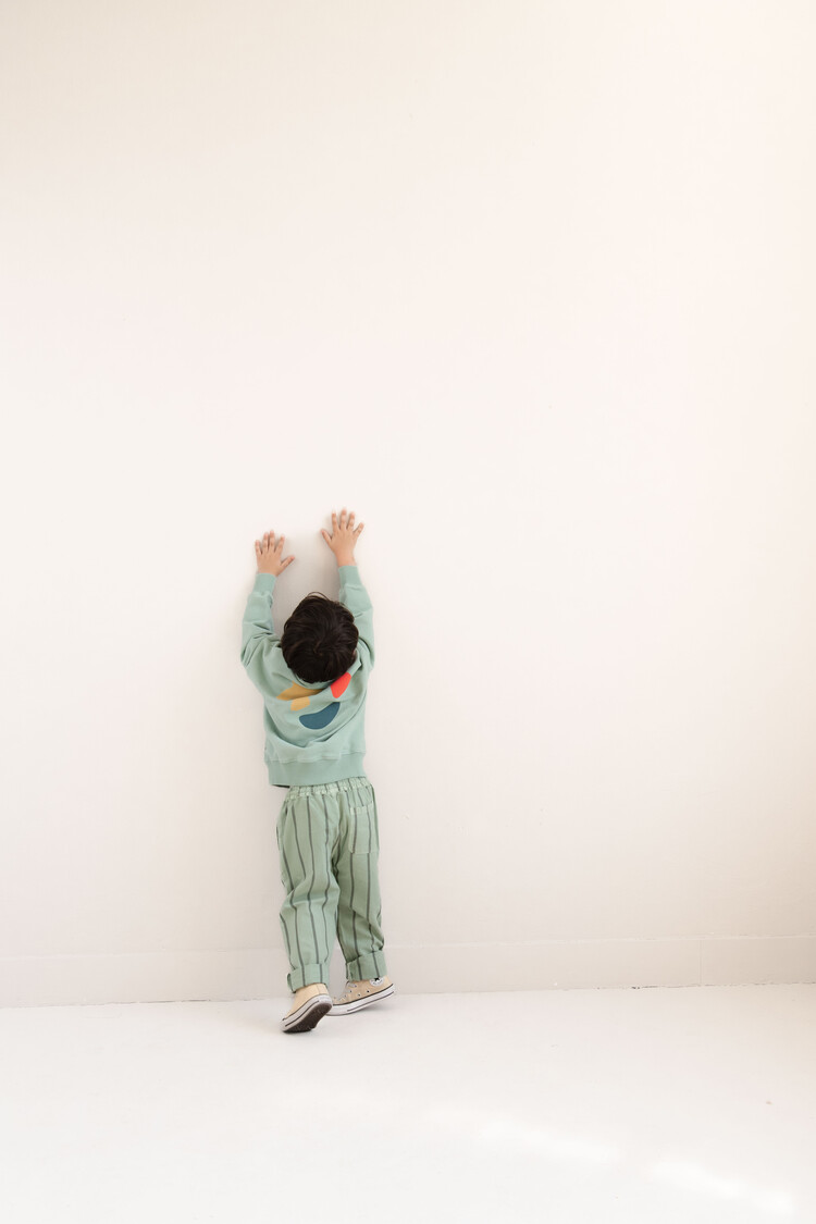 Jenest Kick Pants - Sage Green Stripe