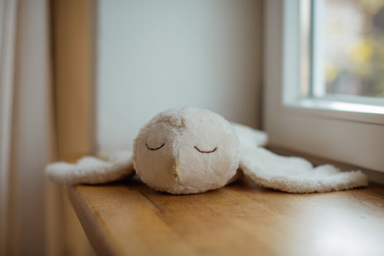 Senger Warming Pillow - Snowy Owl