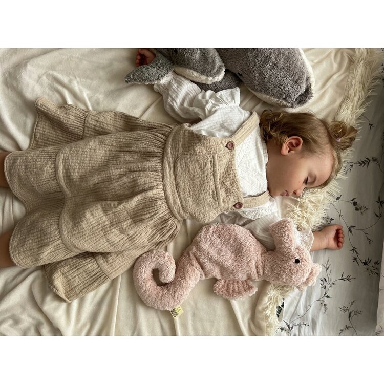 Senger Kersenpitkussen - Seahorse