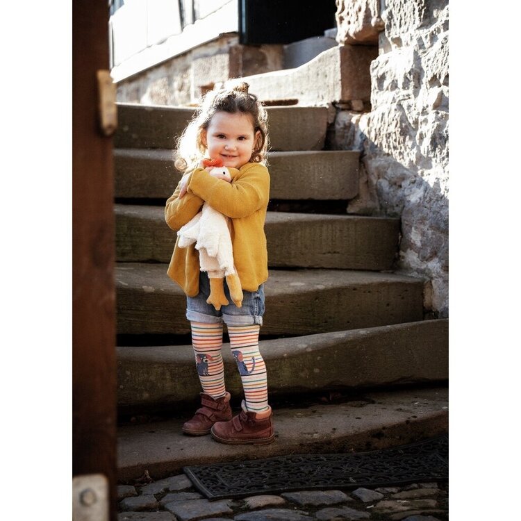 Senger Handpop - Chicken