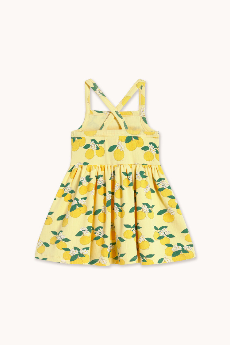 Tiny Cottons Oranges Dress - Yellow/Blue