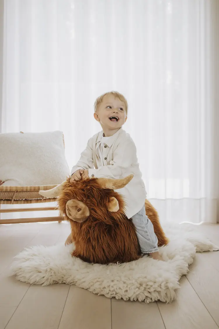 Wild & Soft Soft Bouncy Animal - Highlander