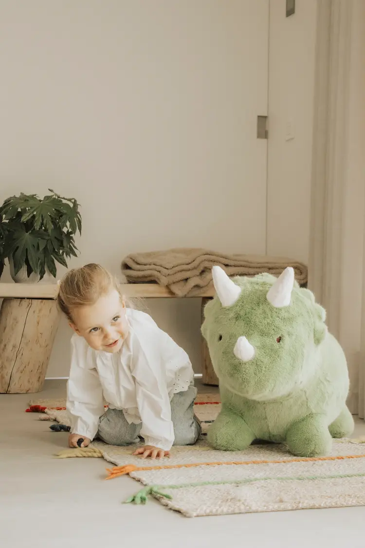 Wild & Soft Zacht Stuiterdier - Dino