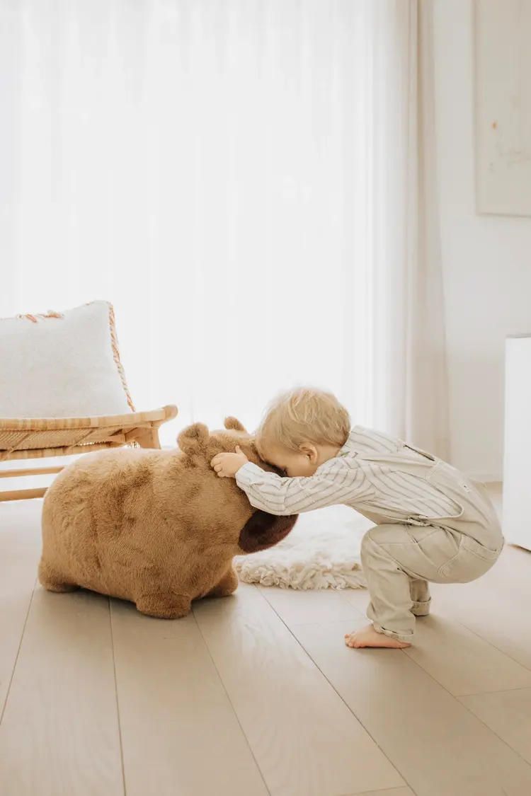 Wild & Soft Soft Bouncy Animal - Capibara