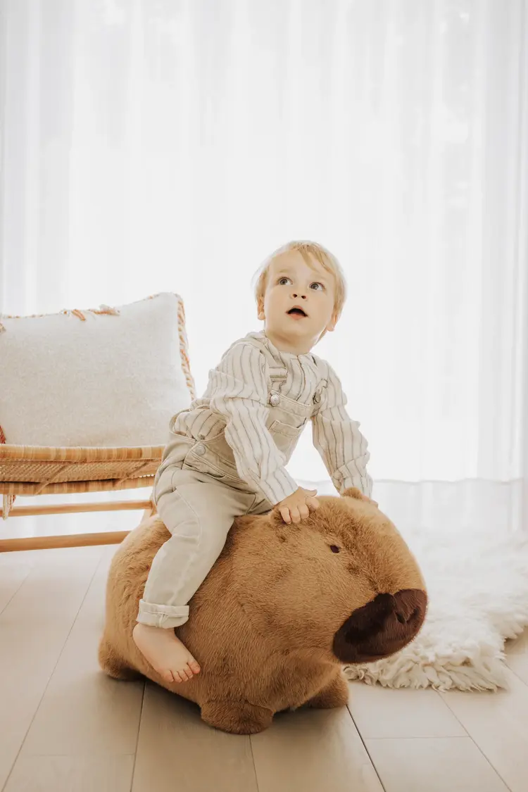 Wild & Soft Zacht Stuiter Dier - Capibara