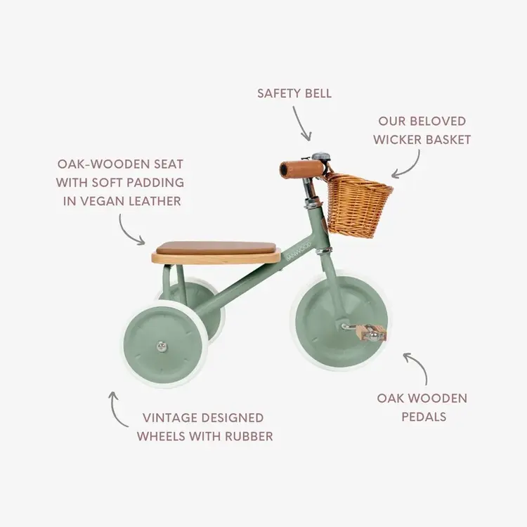 Banwood Toddler Tricycle - Forest