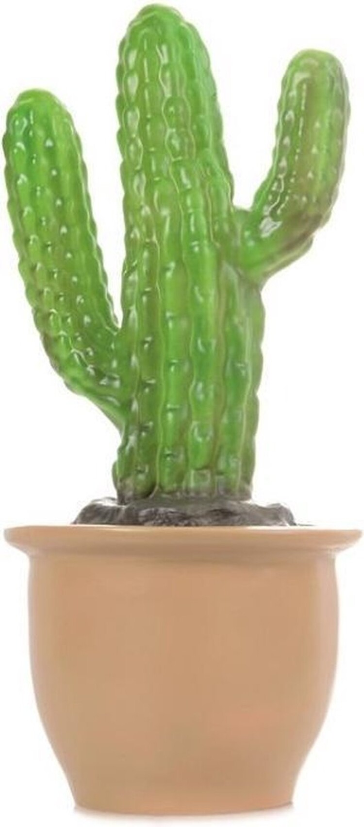 Heico Lamp - Vinger Cactus In Pot