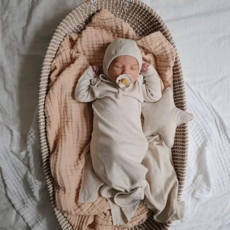 Daisy 2-Pack Fopspeen - Peony/Cedar