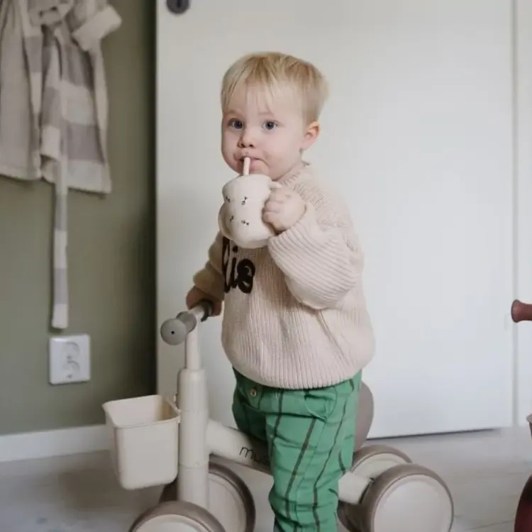 Mushie Training Beker & Rietje - Bees